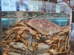-万龙洲海鲜(南新仓店)