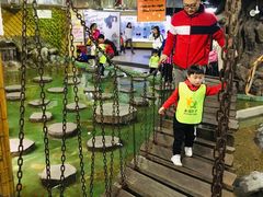 -上海大自然野生昆虫馆(东方明珠·爬宠昆虫探索中心)