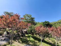 -广州市帽峰山景区