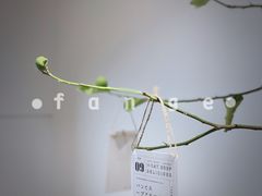 -Oasis coffee燕谷咖啡(公信店)