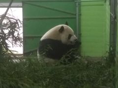 -石家庄市动物园