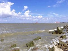 -上海滨江森林公园