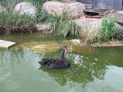 -燕郊植物园