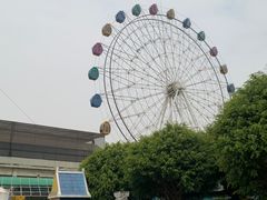 -百万葵园