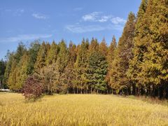 -塔川景区