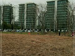 -上海山野camping·户外天幕烧烤·团建拓展营地