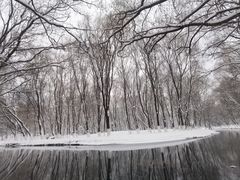 -长白岛森林公园