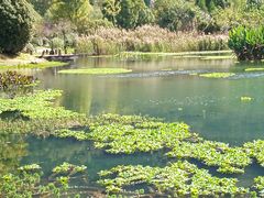 -贵阳市花溪国家城市湿地公园