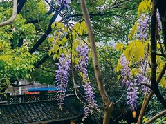 -竹吟山房