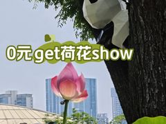 -云溪植物园