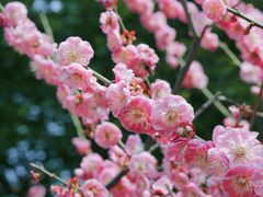 -静安雕塑公园