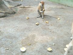 -石家庄市动物园