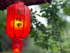 -青城甲(青城山店)