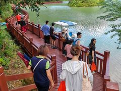 -广州白江湖森林公园