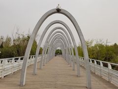 -大兴滨河森林公园