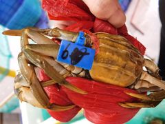 -膳富贵黄油蟹体验馆(欢乐港湾店)