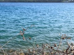 -露天矿生态公园