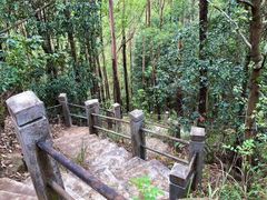 -滴水岩森林公园