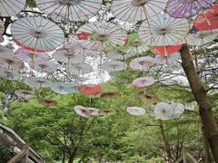 -广州市帽峰山景区