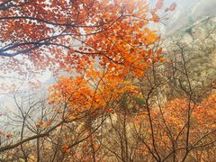 -黑龙潭风景区