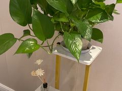 -宫七SPA·高端Massage(浦东大道店)