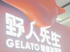 -野人先生现做冰淇淋(北京王府井东方新天地店)