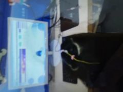 -竞思注意力·专注力·学习能力训练(广开中心)