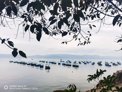 -抚仙湖禄充风景区