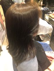 -京世沙龙