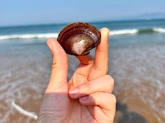 -青岛银沙滩