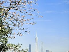 -海珠湖公园