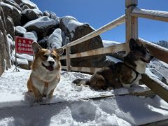 -莲宝叶则景区