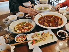 -龙翔山庄雷鸡肉(青城后山泰安古镇店)