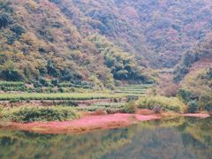 -东白山