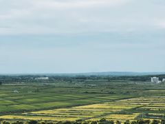 -恋山坝上草原