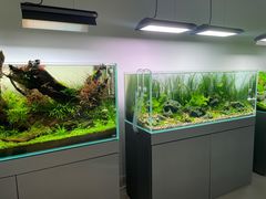 -ADA自然水景世界