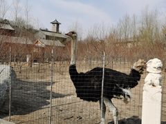 -爱新觉罗皇家博物院