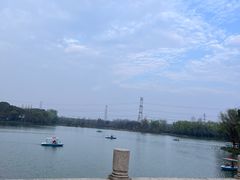 -昆山城市生态森林公园