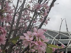 -文华公园(禅城区)