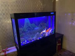 -宜昌富力皇冠假日酒店·咖啡1号西餐厅