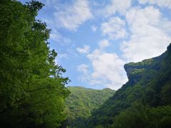 -少华山国家森林公园