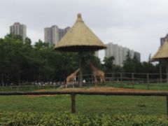 -南昌动物园