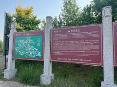 -黄金寨原生态旅游区