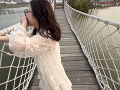 -杭州湾海上花田景区