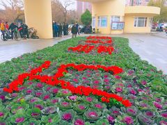 -万泉公园