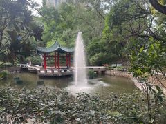 -九龙公园