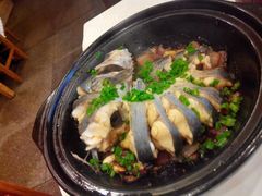 -金龙寨(解西店)