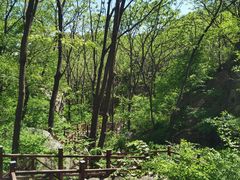 -大岭沟猕猴桃谷风景区