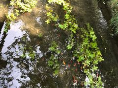 -水磨沟公园
