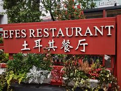 -Efes Turkish & Mediterranean Cuisine 艾菲斯餐厅(陆家嘴店)